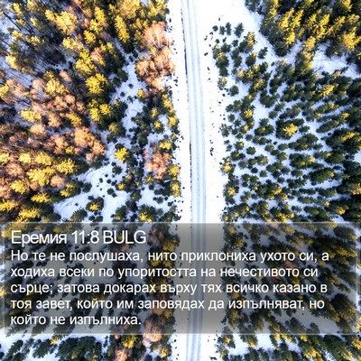 Еремия 11:8 BULG Bible Verse Image