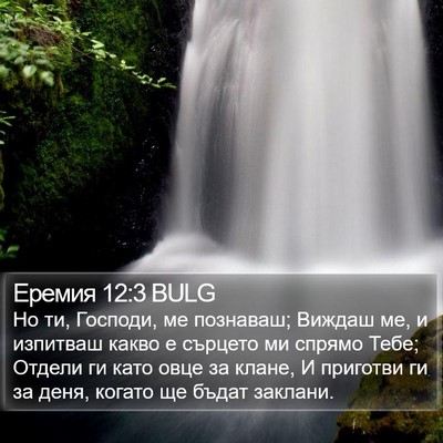 Еремия 12:3 BULG Bible Verse Image