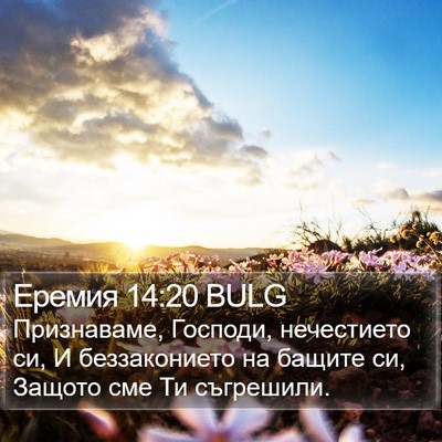 Еремия 14:20 BULG Bible Verse Image
