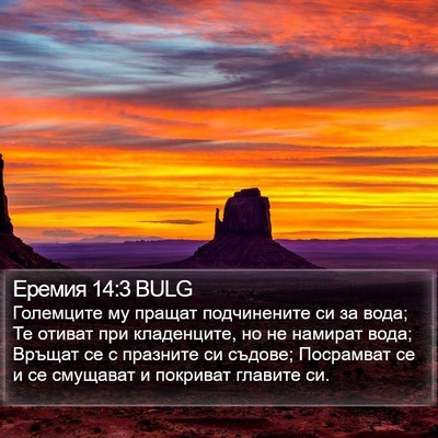 Еремия 14:3 BULG Bible Verse Image