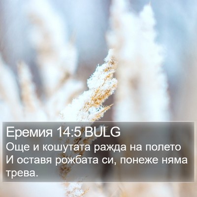 Еремия 14:5 BULG Bible Verse Image