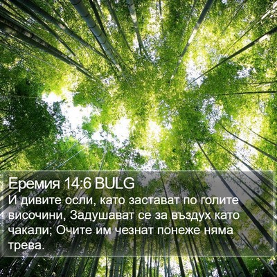 Еремия 14:6 BULG Bible Verse Image