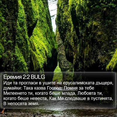 Еремия 2:2 BULG Bible Verse Image