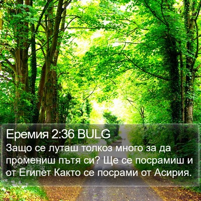 Еремия 2:36 BULG Bible Verse Image