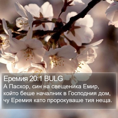 Еремия 20:1 BULG Bible Verse Image