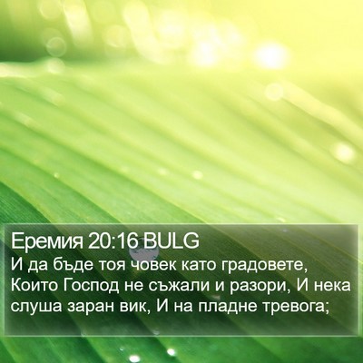 Еремия 20:16 BULG Bible Verse Image