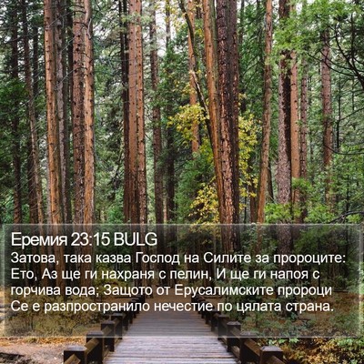 Еремия 23:15 BULG Bible Verse Image