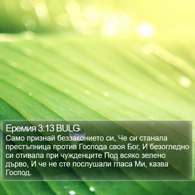 Еремия 3:13 BULG Bible Verse Image