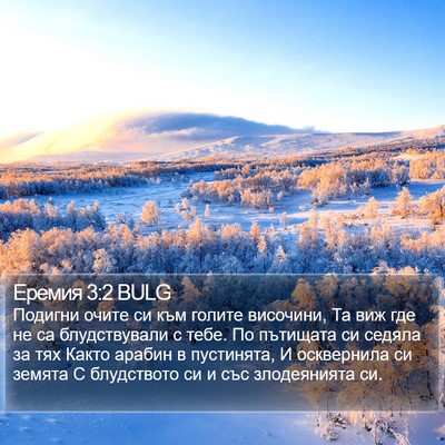 Еремия 3:2 BULG Bible Verse Image