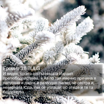 Еремия 3:8 BULG Bible Verse Image