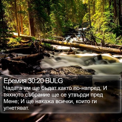 Еремия 30:20 BULG Bible Verse Image