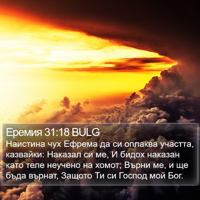 Еремия 31:18 BULG Bible Verse Image