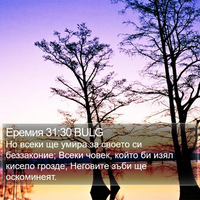 Еремия 31:30 BULG Bible Verse Image