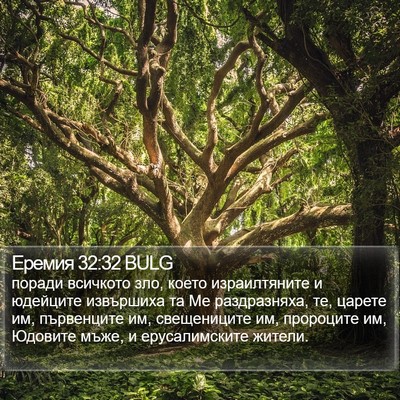 Еремия 32:32 BULG Bible Verse Image