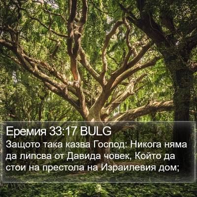 Еремия 33:17 BULG Bible Verse Image