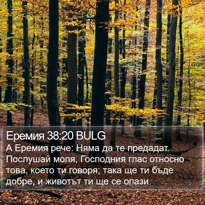 Еремия 38:20 BULG Bible Verse Image