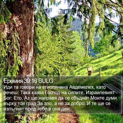 Еремия 39:16 BULG Bible Verse Image