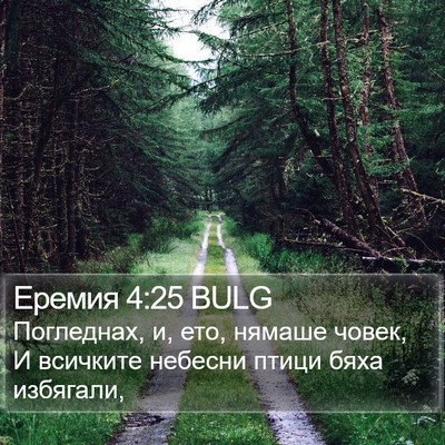 Еремия 4:25 BULG Bible Verse Image