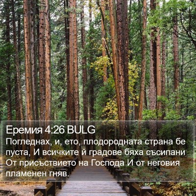 Еремия 4:26 BULG Bible Verse Image