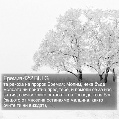 Еремия 42:2 BULG Bible Verse Image