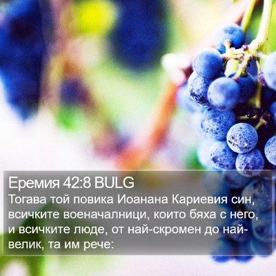 Еремия 42:8 BULG Bible Verse Image