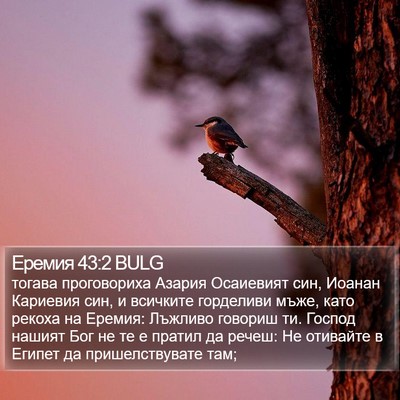 Еремия 43:2 BULG Bible Verse Image