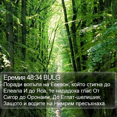 Еремия 48:34 BULG Bible Verse Image