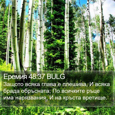 Еремия 48:37 BULG Bible Verse Image