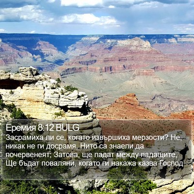 Еремия 8:12 BULG Bible Verse Image