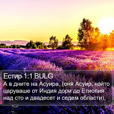 Естир 1:1 BULG Bible Verse Image