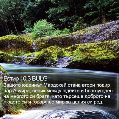Естир 10:3 BULG Bible Verse Image