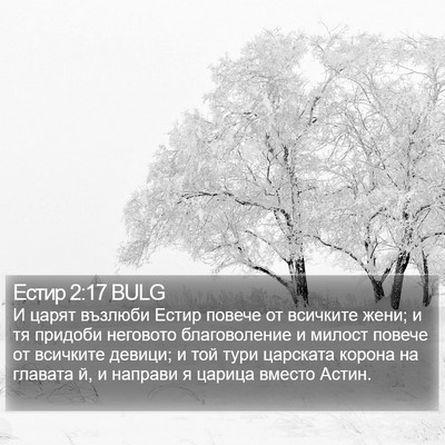 Естир 2:17 BULG Bible Verse Image