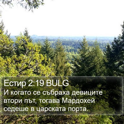 Естир 2:19 BULG Bible Verse Image