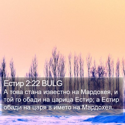 Естир 2:22 BULG Bible Verse Image