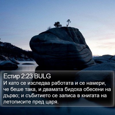 Естир 2:23 BULG Bible Verse Image