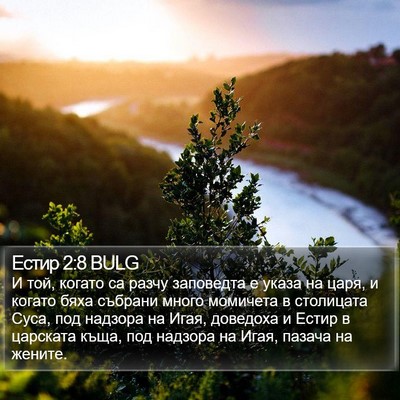 Естир 2:8 BULG Bible Verse Image