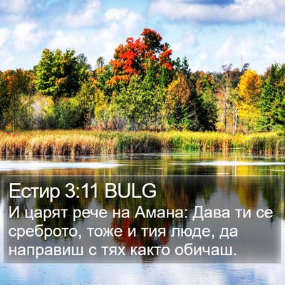 Естир 3:11 BULG Bible Verse Image