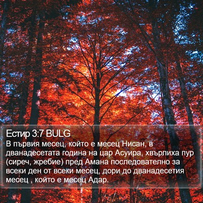 Естир 3:7 BULG Bible Verse Image