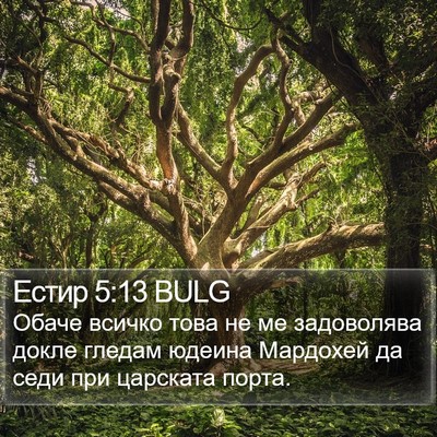 Естир 5:13 BULG Bible Verse Image
