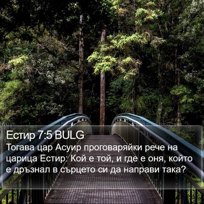 Естир 7:5 BULG Bible Verse Image