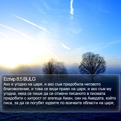 Естир 8:5 BULG Bible Verse Image