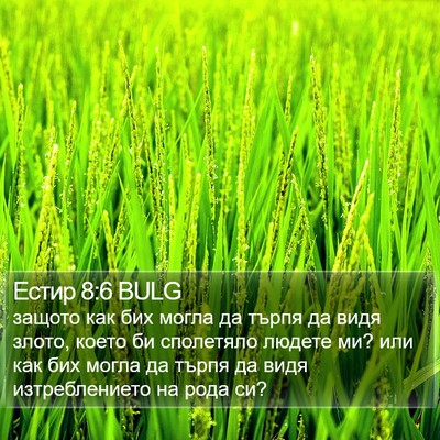 Естир 8:6 BULG Bible Verse Image