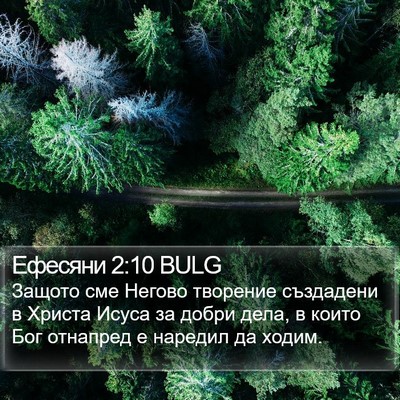 Ефесяни 2:10 BULG Bible Verse Image