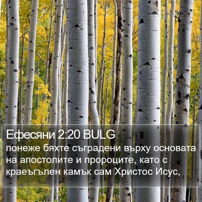 Ефесяни 2:20 BULG Bible Verse Image