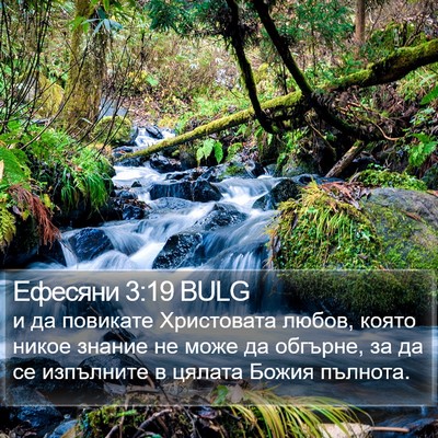 Ефесяни 3:19 BULG Bible Verse Image