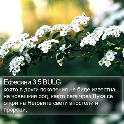 Ефесяни 3:5 BULG Bible Verse Image