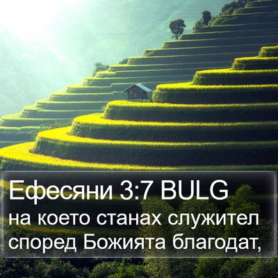 Ефесяни 3:7 BULG Bible Verse Image