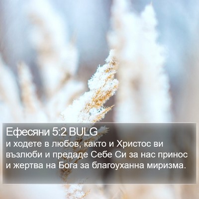 Ефесяни 5:2 BULG Bible Verse Image