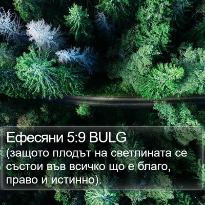 Ефесяни 5:9 BULG Bible Verse Image