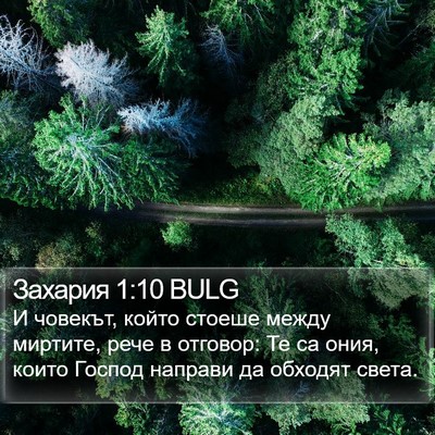 Захария 1:10 BULG Bible Verse Image